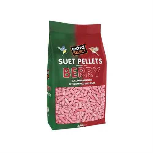 Extra Select Berry Suet Pellets 550g