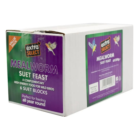 Extra Select Mealworm Suet Feast Blocks 6 pack