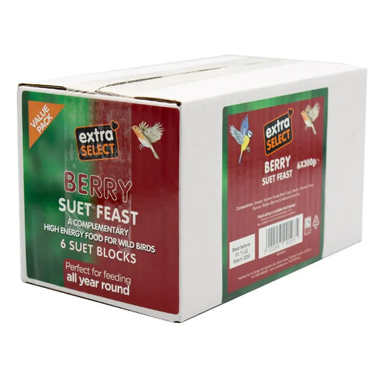Extra Select Suet Feast Blocks 6 pack