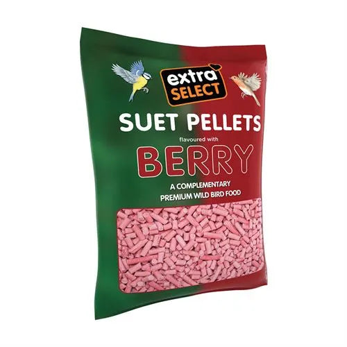 Extra Select Suet Pellets Berry 3kg