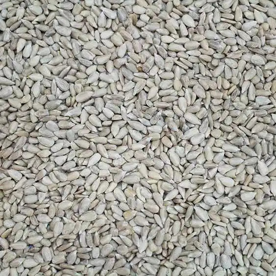 Sunflower Hearts