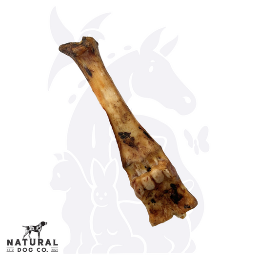 Beef Shin Bone