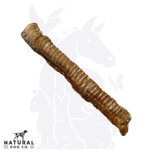 Whole Beef Trachea