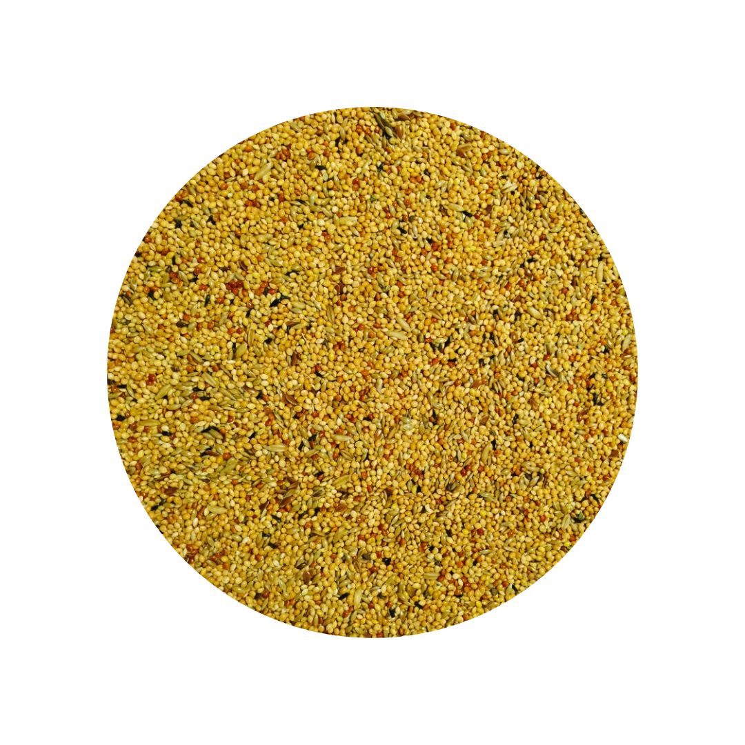 Bucktons Foreign Finch 20kg