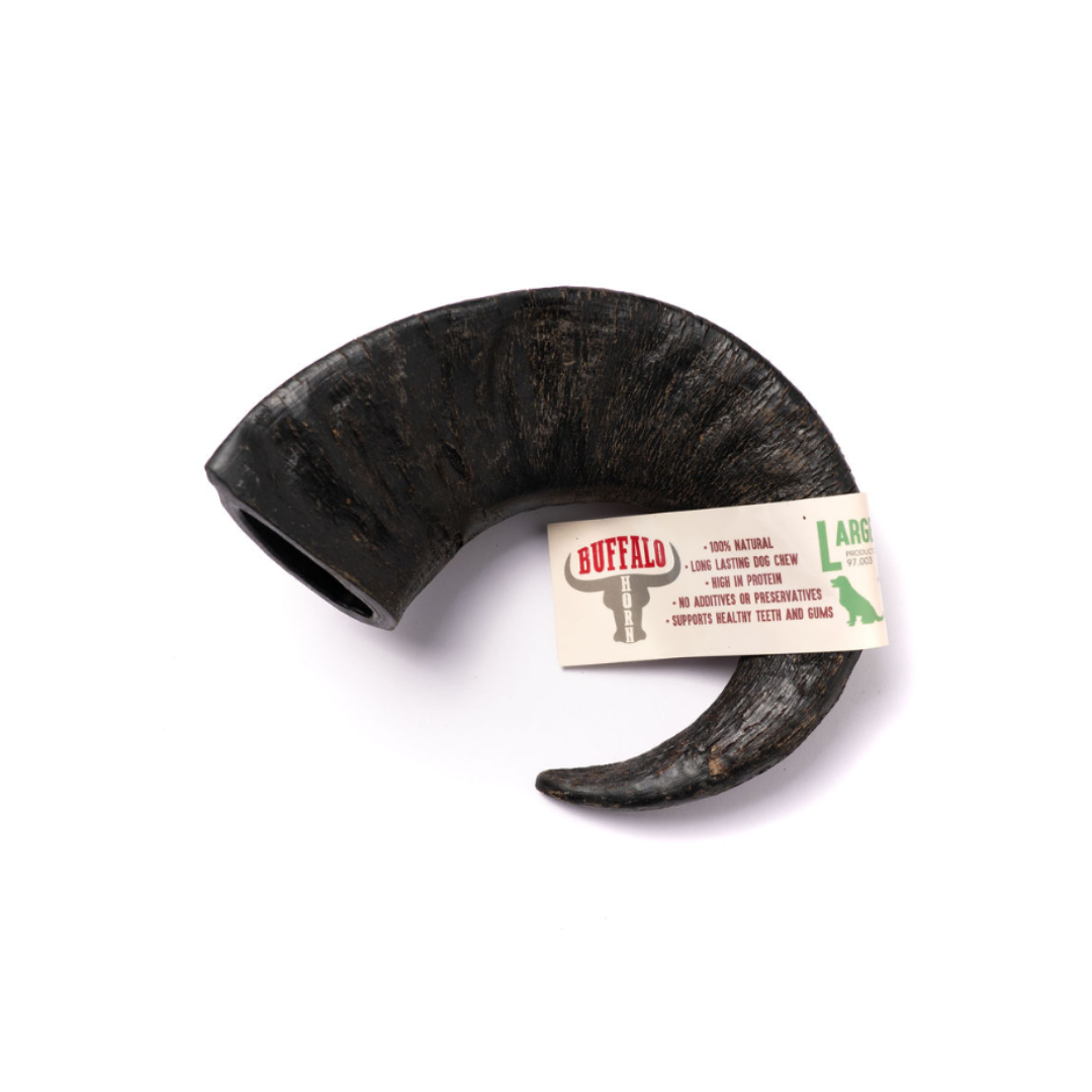 Buffalo Horn