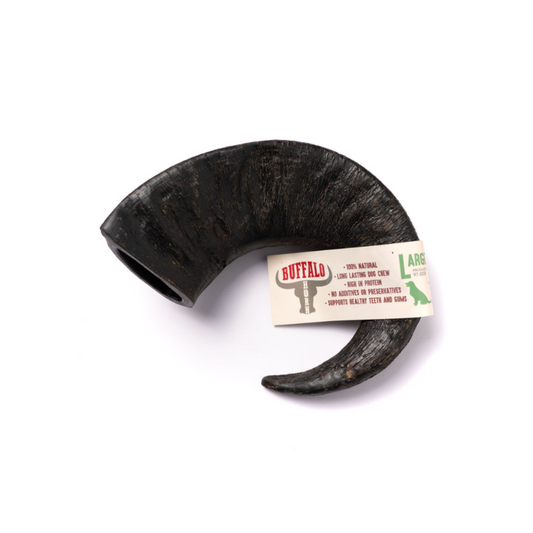 Buffalo Horn