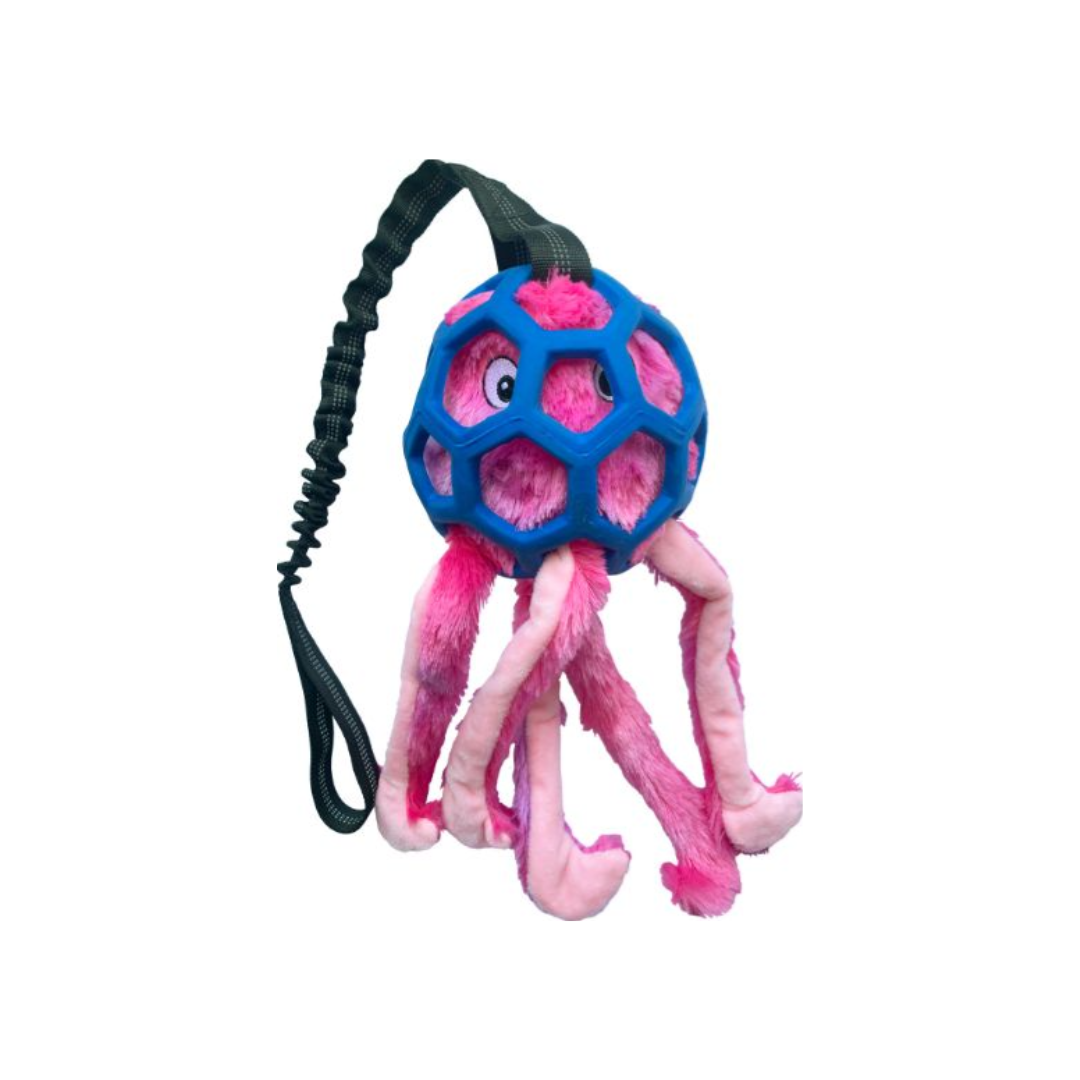 Bungee Octopus Toy