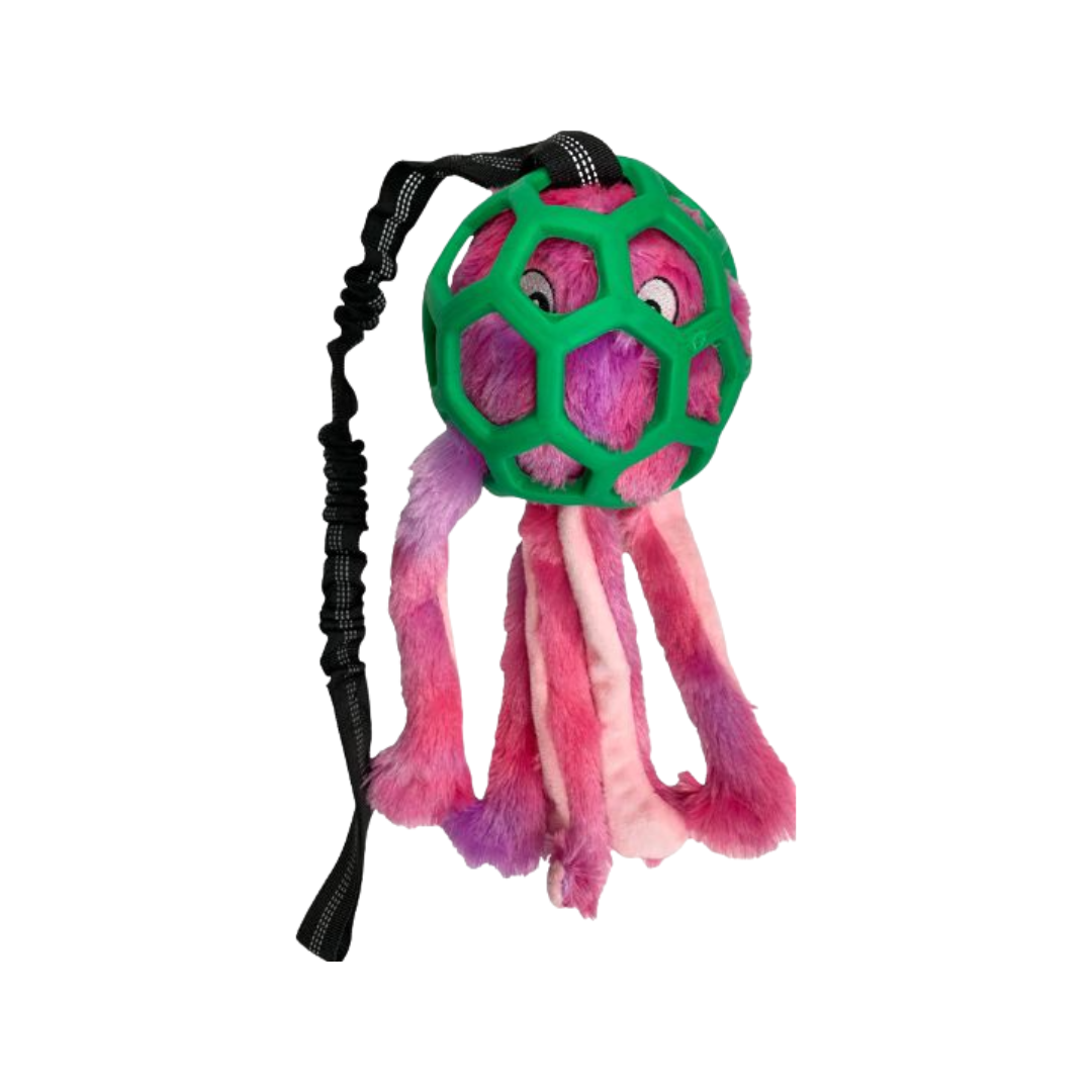 Bungee Octopus Toy