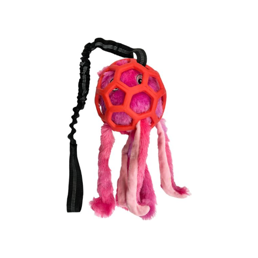 Bungee Octopus Toy