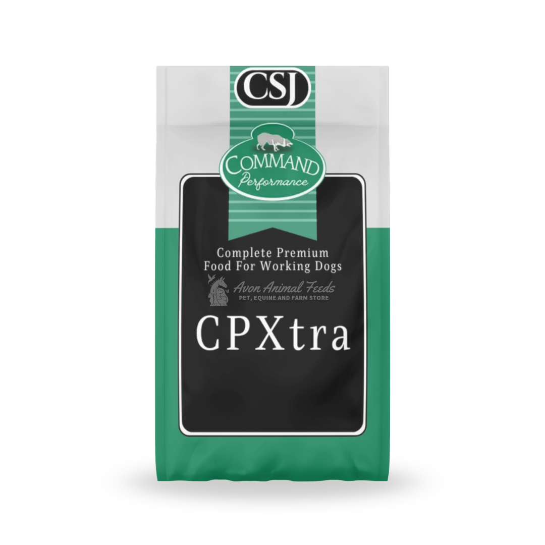 CSJ CP Xtra