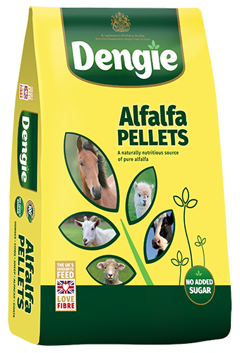 Dengie Alfalfa Pellets