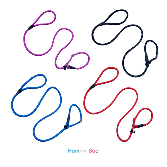 Economy Rope Slip Lead