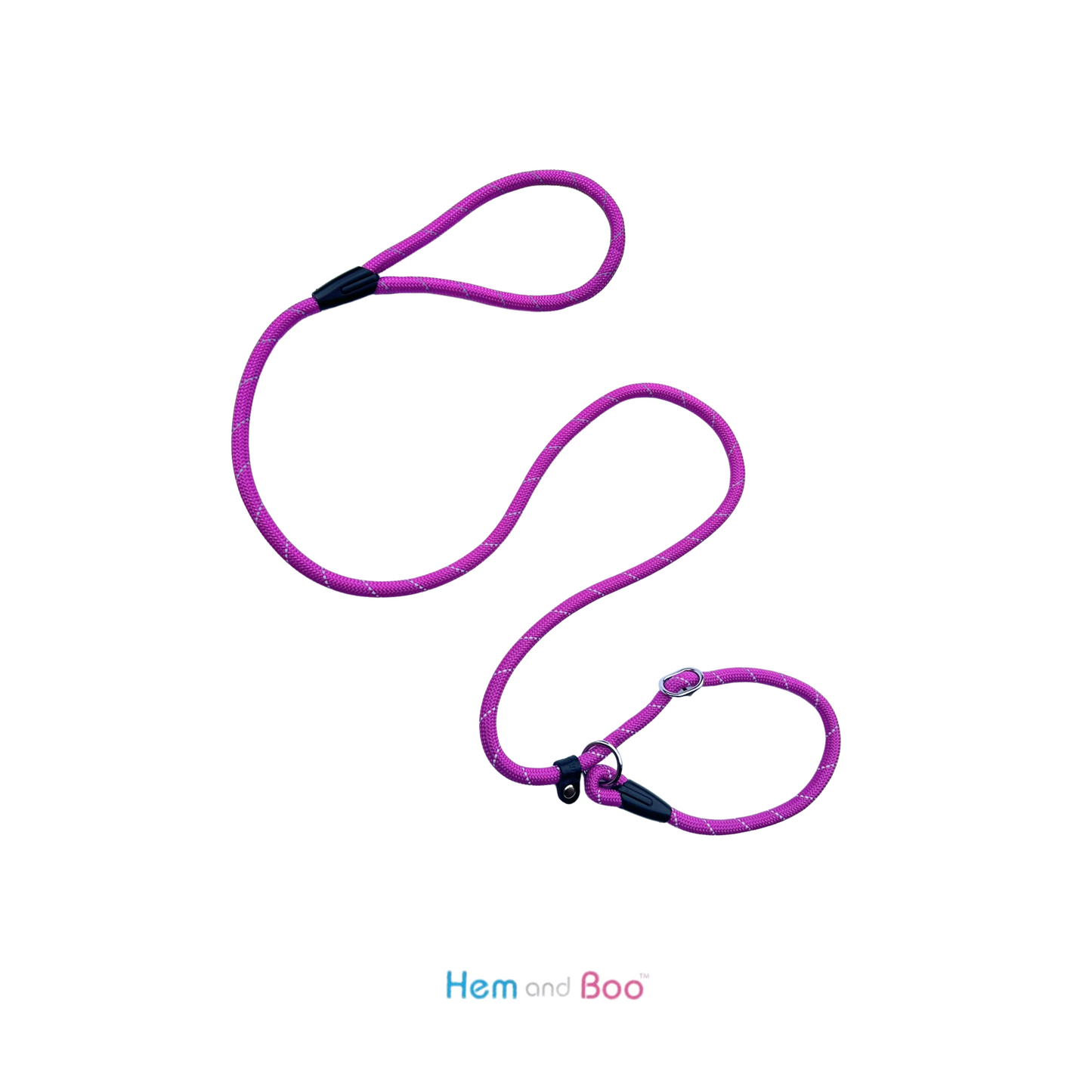 Economy Rope Slip Lead