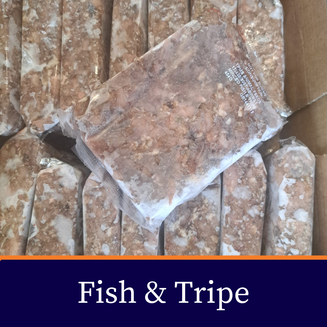 Complete Blocks: 80/10/10