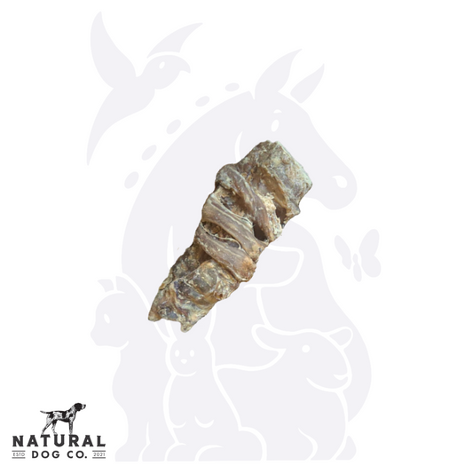 Gullet Wrapped Trachea