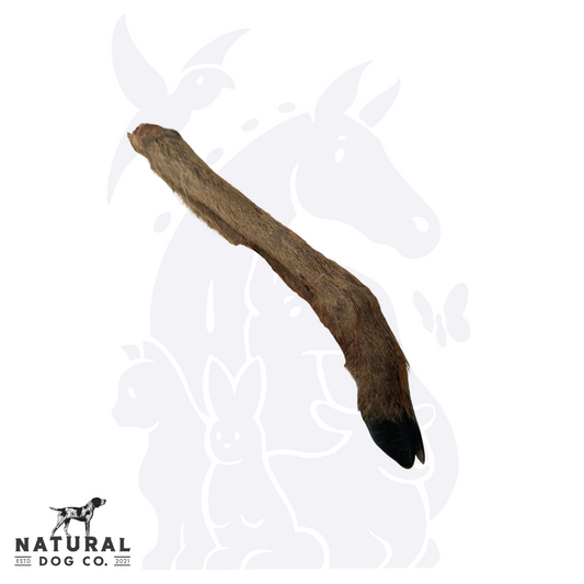 Hairy Venison Leg (small)