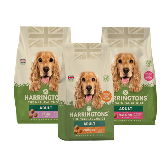 Harringtons Dry Food for Adult Dogs