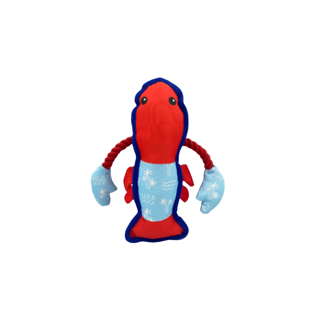 Seaside Dog Toy with Squeak and Rope