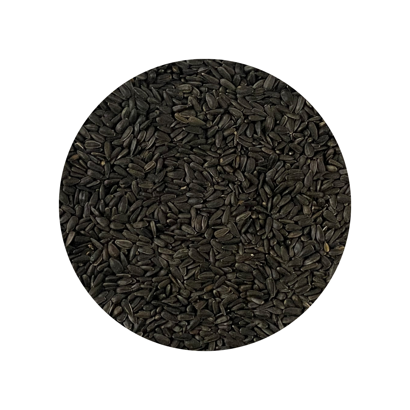 Johnston & Jeff Black Oil Sunflower Seeds