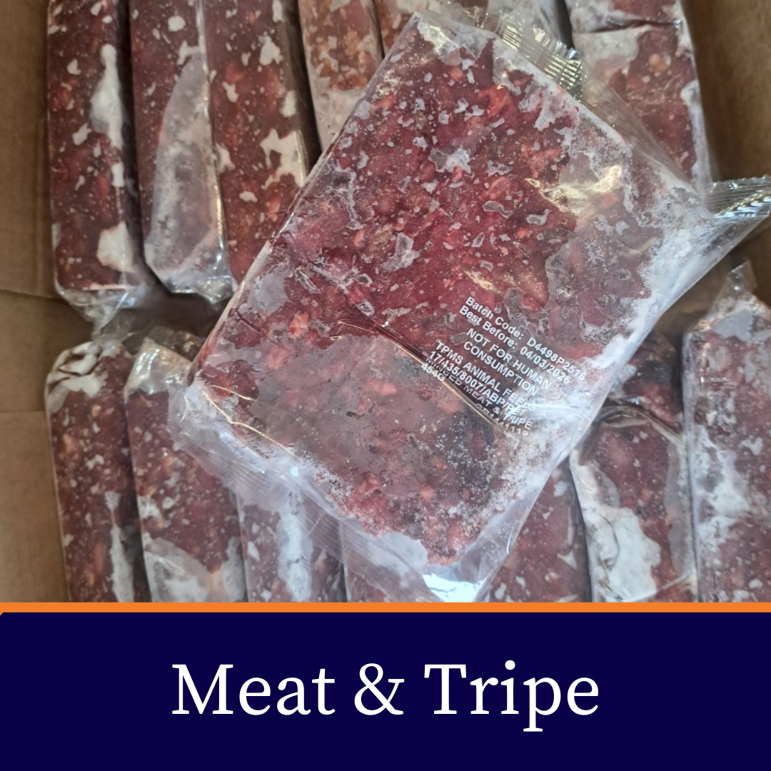 Complete Blocks: 80/10/10