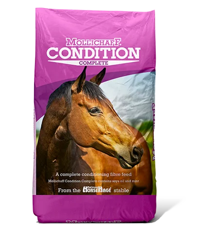 Mollichaff Condition Complete