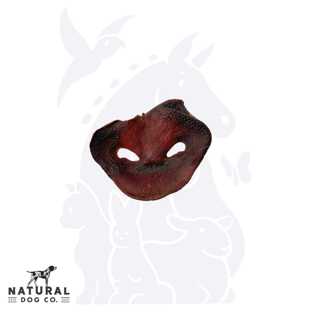 Pig Snout