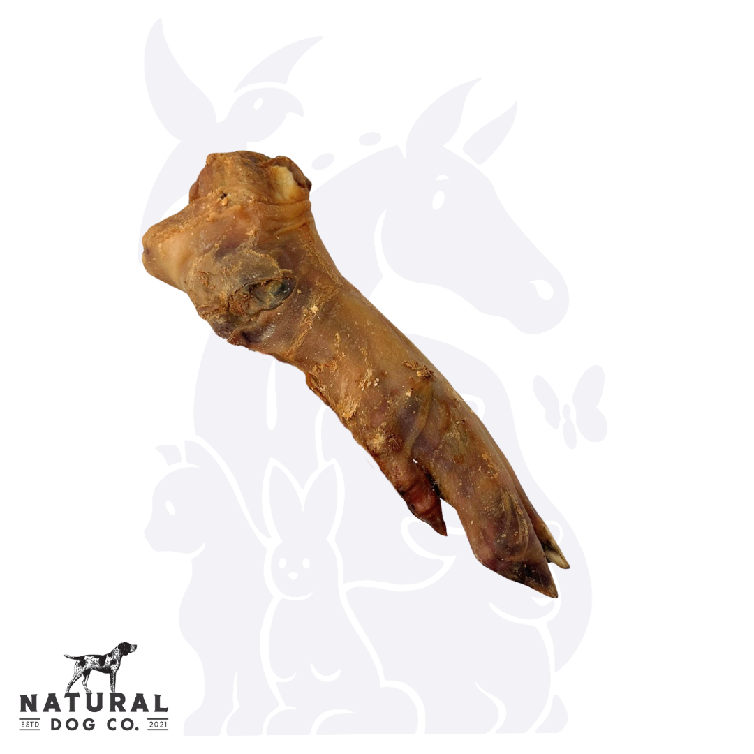 Pig Trotter