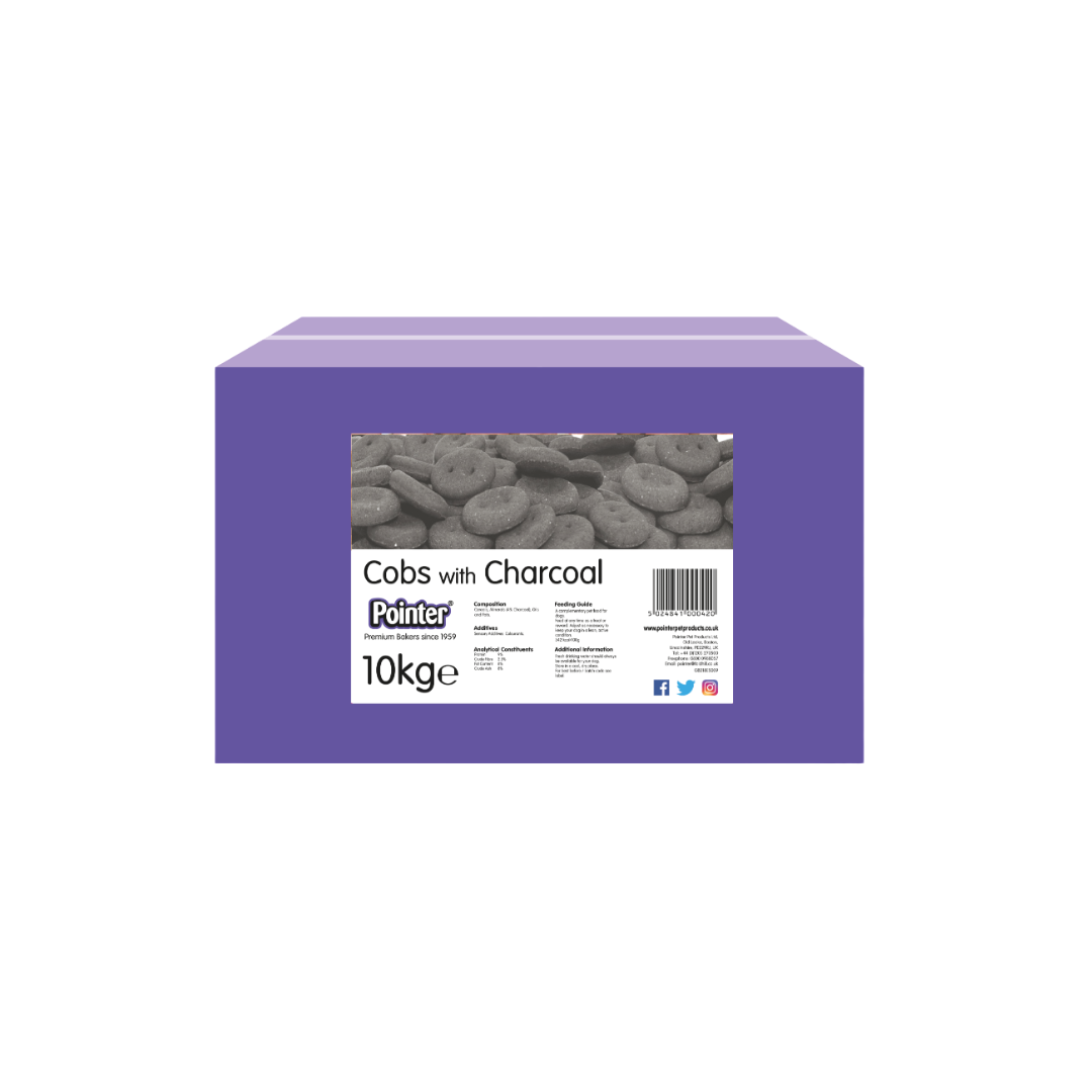 Pointer Charcoal Cobs