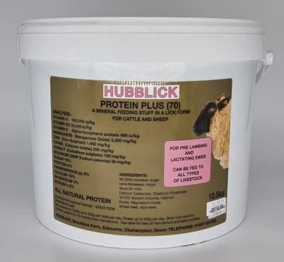 Hubblick Protien Plus Cattle