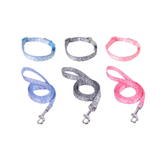 Puppy Collar and Lead Set