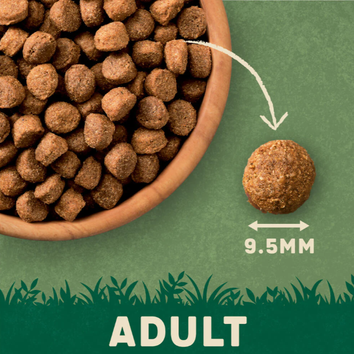 Harringtons Dry Food for Adult Dogs