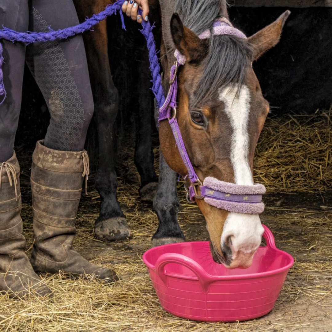 Gorilla Plas® S1 Small Feed Skip