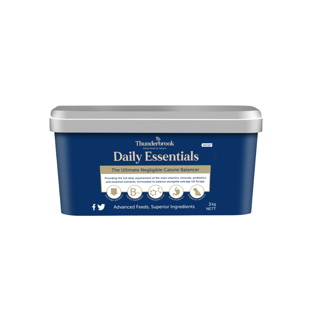 Thunderbrook Daily Essentials