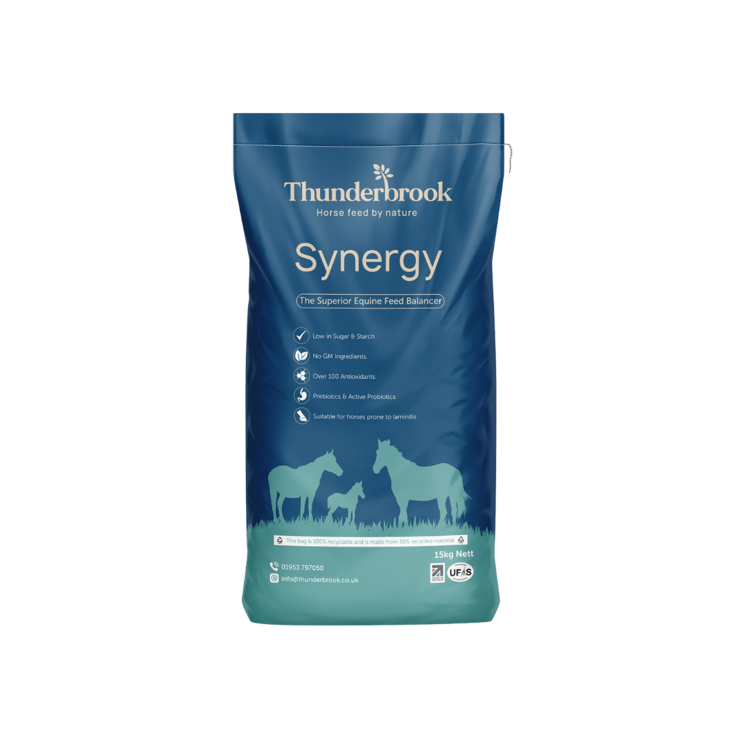 Thunderbrook Synergy