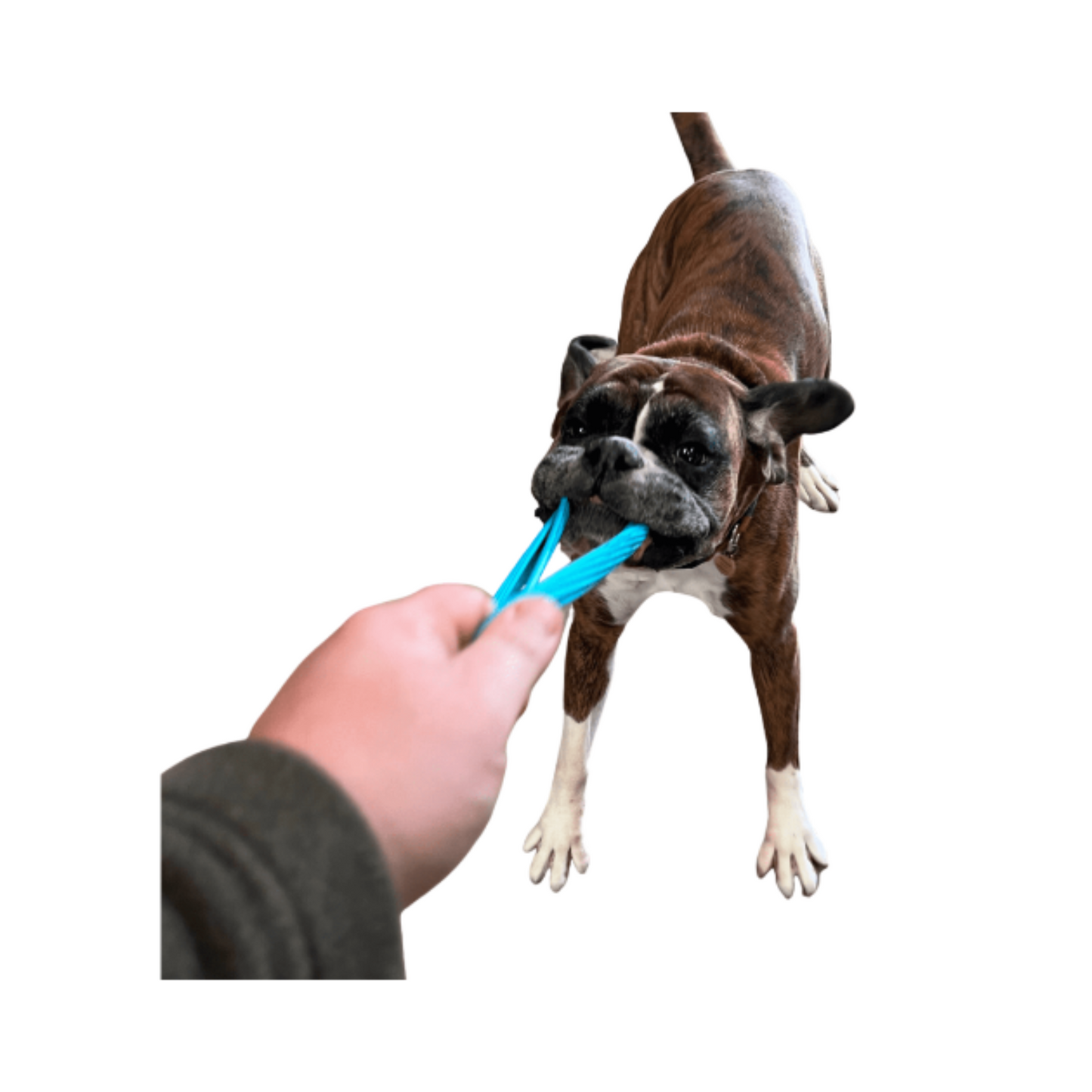Tug and Fetch Toy