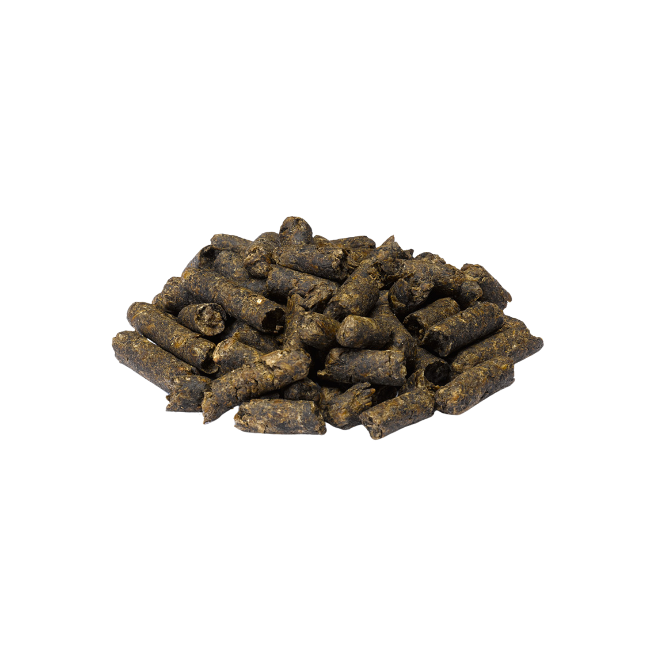 Trident Supabeet
