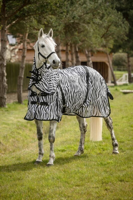 A white horse wearing a 'White Horse Flywell Combo Fly Rug - Black/White Zebra' in a field of grass