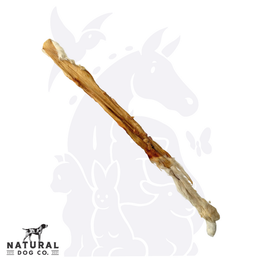 Whole Rabbit Skin with fur