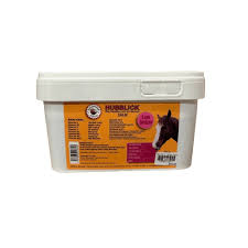 Hubblick Horse Lick 5kg
