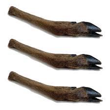 Hairy Venison Leg (small)