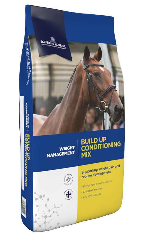 Dodson & Horrell Build up Conditioning Mix