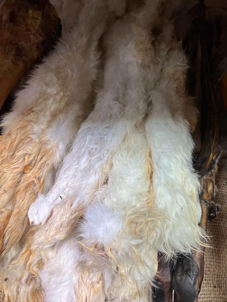 Whole Rabbit Skin with fur