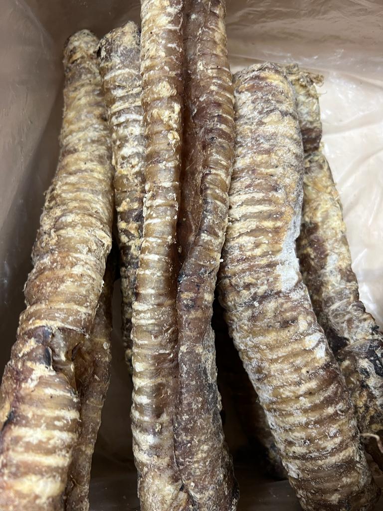 Whole Beef Trachea