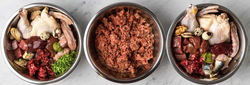 The Benefits and Myths of Feeding Your Dog a Raw Meat Diet – Avon ...