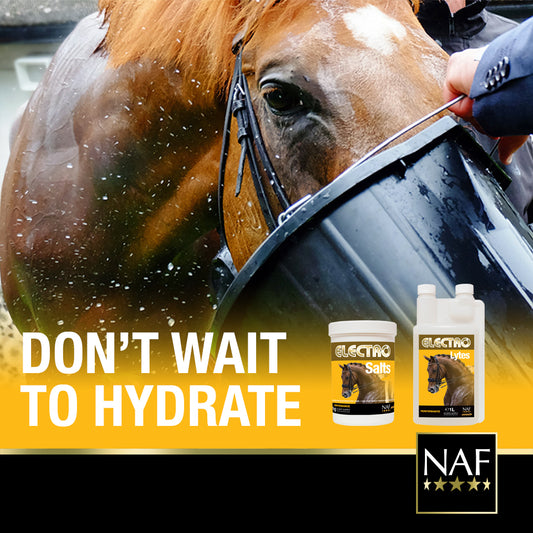 Electrolytes and Hydration by NAF