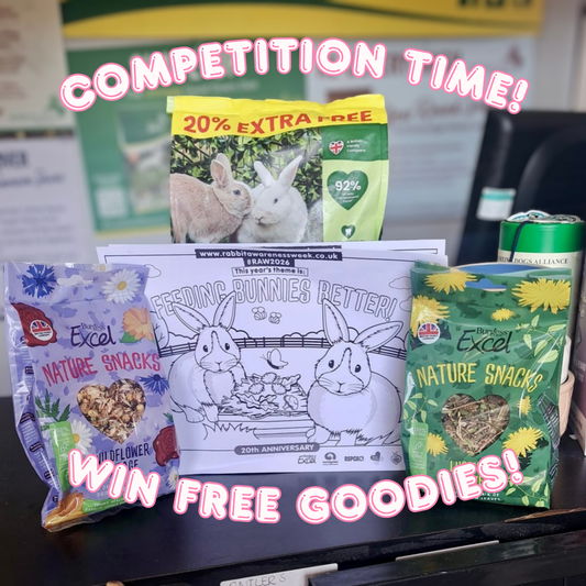 Rabbit Week Colouring Competition