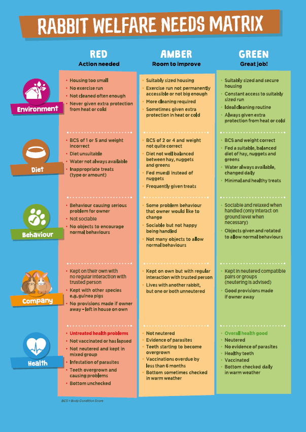 Rabbit Welfare Checklist