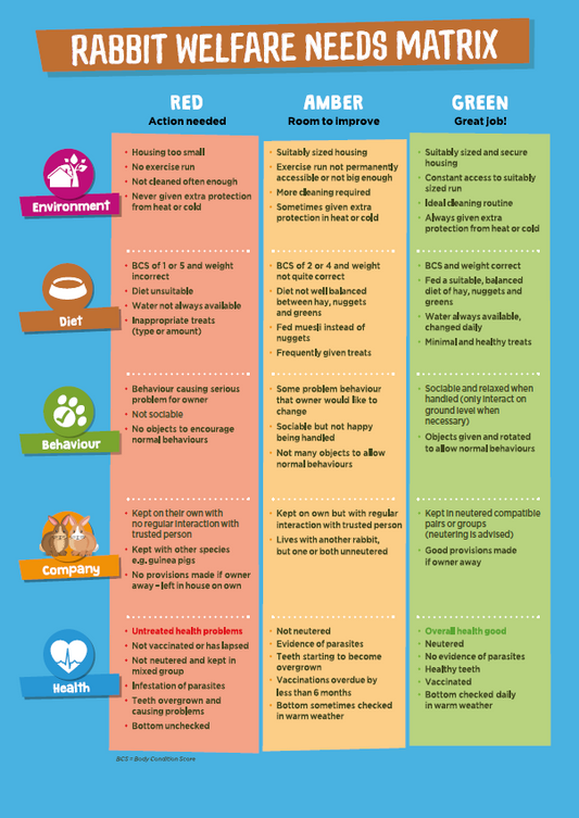 Rabbit Welfare Checklist