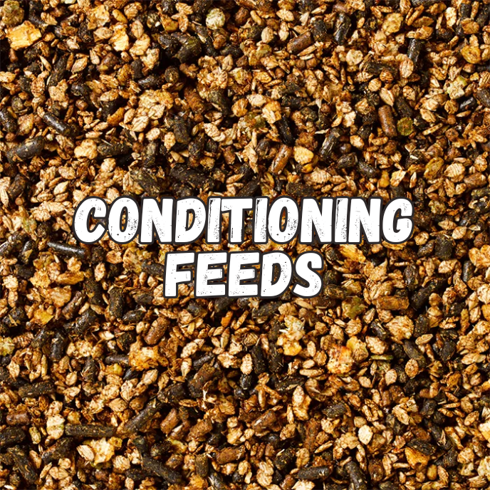 Conditioning Feeds