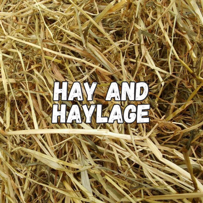 Hay and Haylage